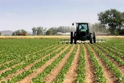 Agriculture